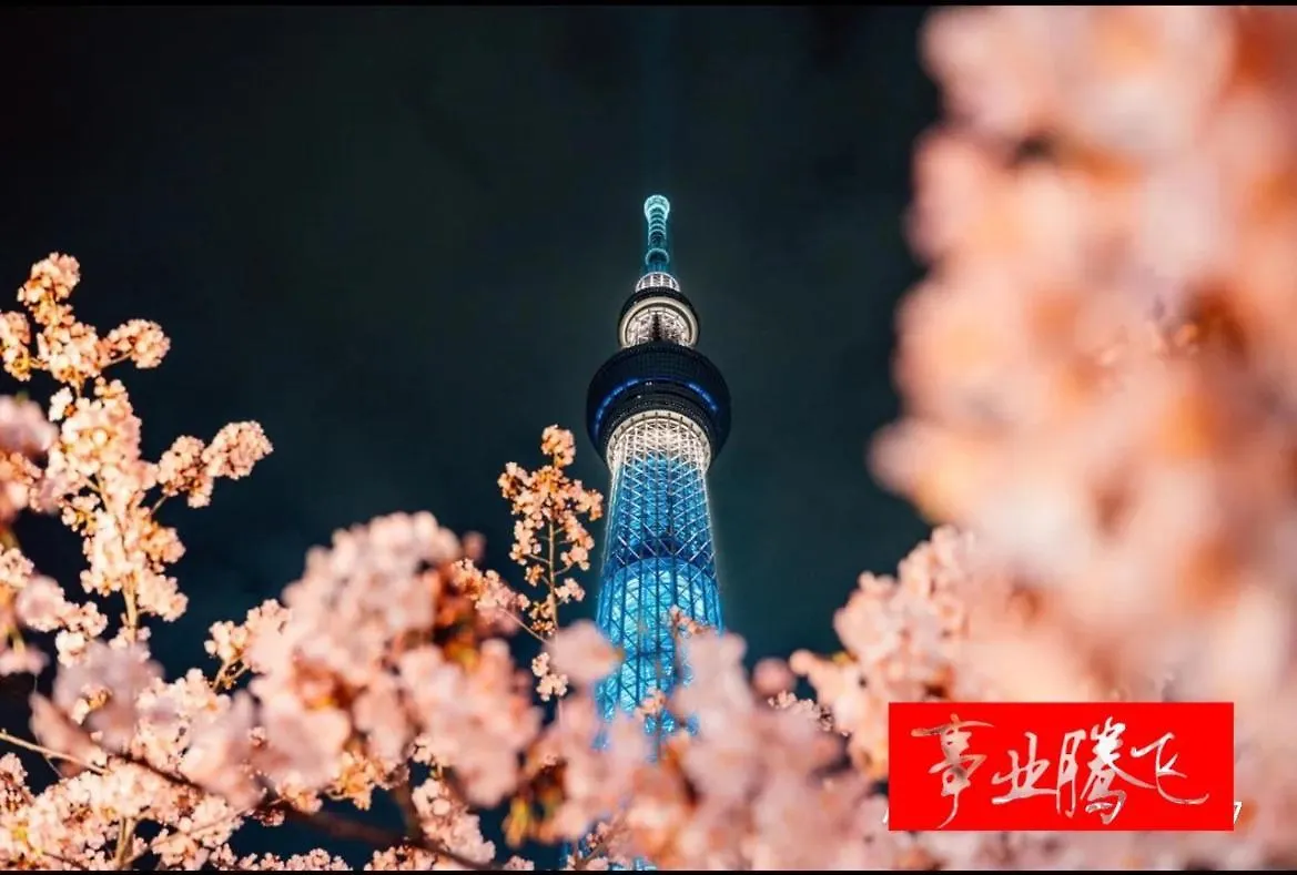 Sky House晴空塔2 Apartment Tokyo